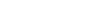 WFN Logo