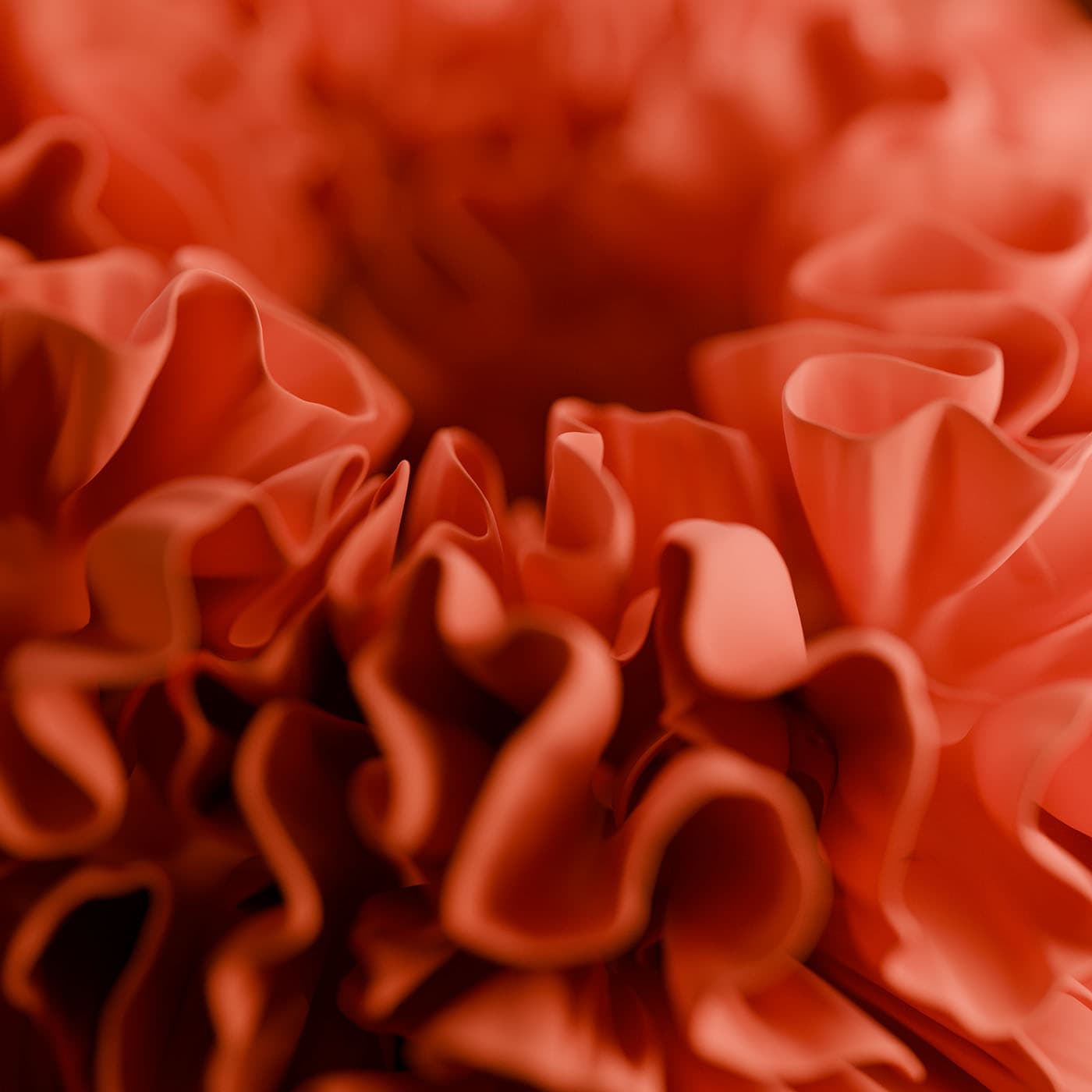 orange flower